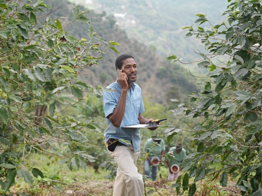 Extensión agrícola