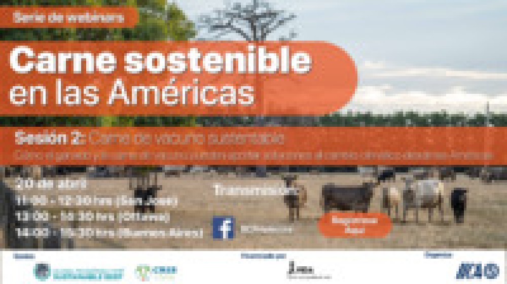 Carne Sostenible en las Américas - Segunda Sesión