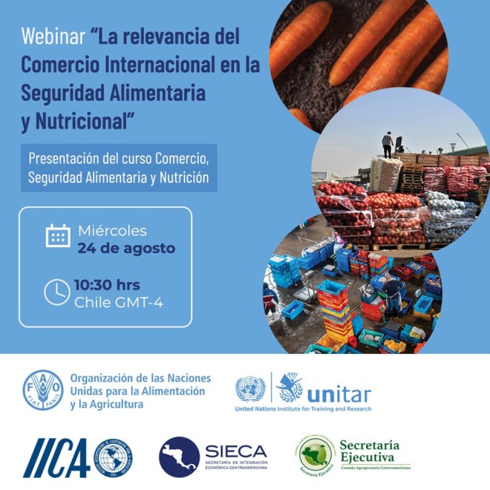 Webinar: “La relevancia del Comercio Internacional en la Seguridad Alimentaria y Nutricional”