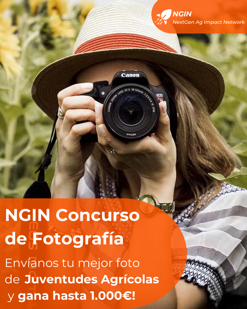 Concurso de fotografía NGIN (EN)