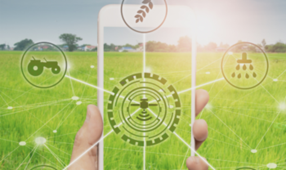 1st Online Symposium On Digital Transformation In Agriculture (PT)
