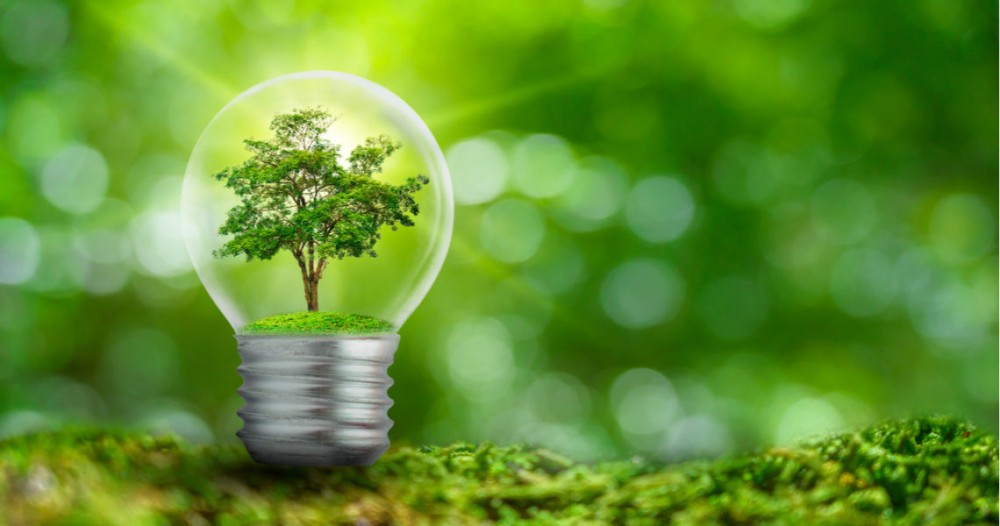 Webinar: Incentives for nature-based solutions in Chile's forestry and agriculture sector	