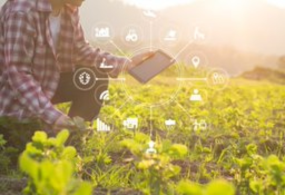 Hojas de ruta de la agricultura digital: Un paso hacia el viaje transformador de la agricultura digital
