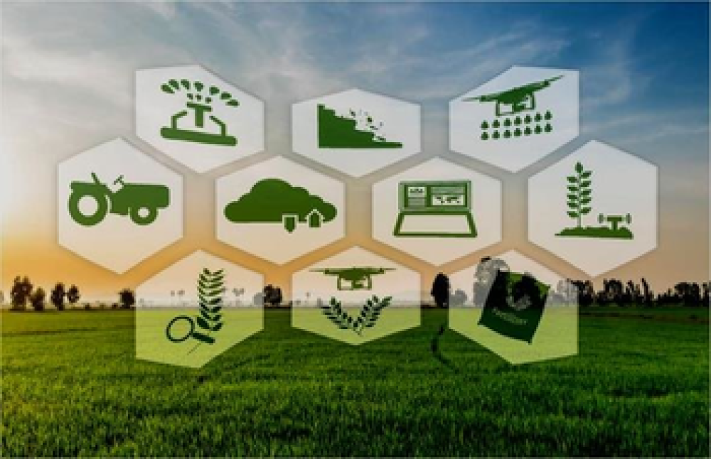 Transforming agriculture and food systems through data-driven digital agriculture (ES)