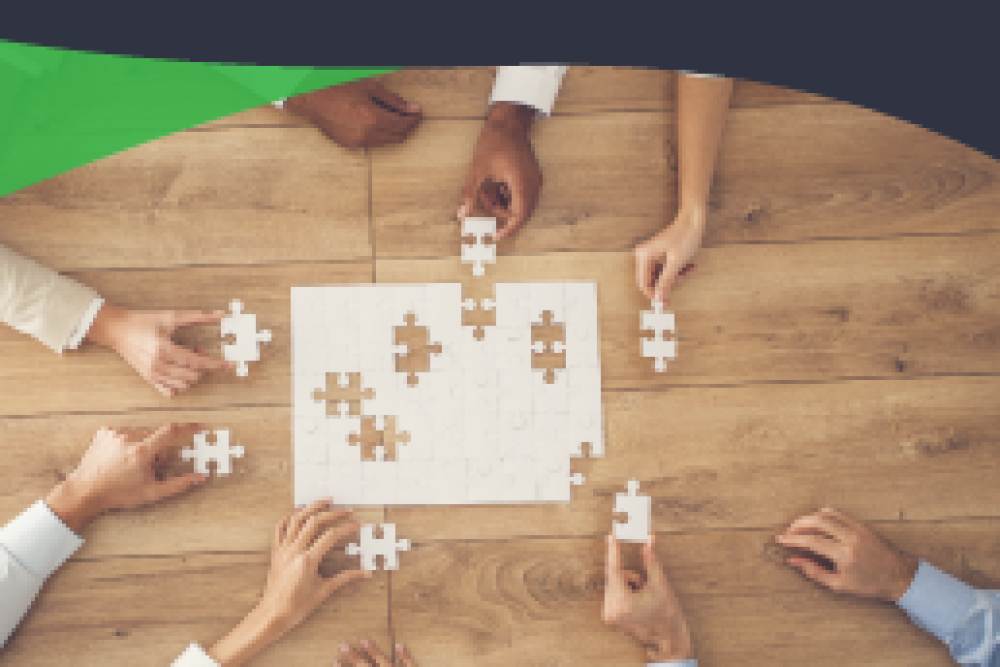Course: Coordination of public policies, their strategies and effective tools (13th Edition) (ES)