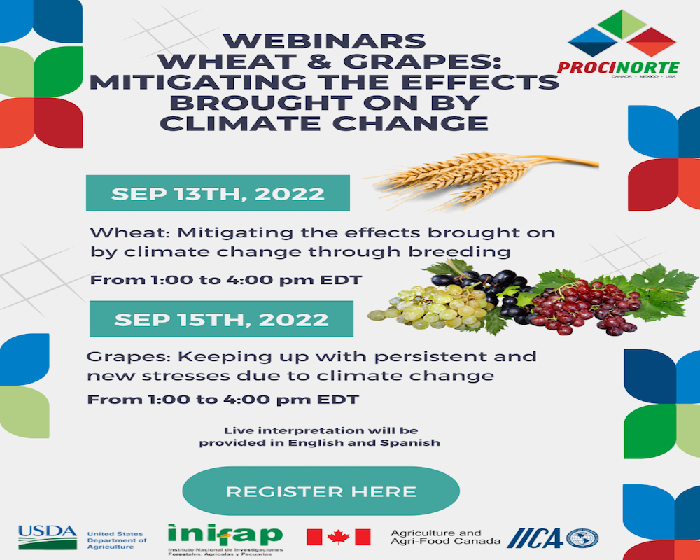 Wheat & Grapes: Mitigating the effects brought on by climate change