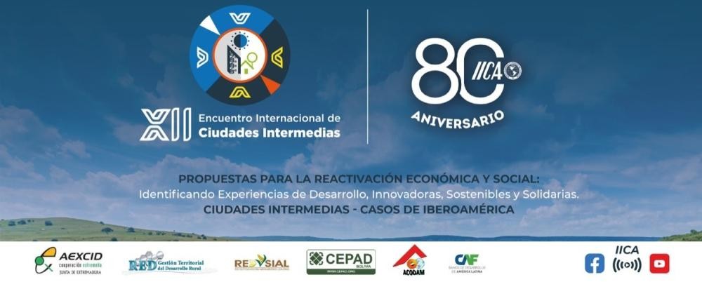 XII INTERNATIONAL MEETING OF INTERMEDIATE CITIES (ES)