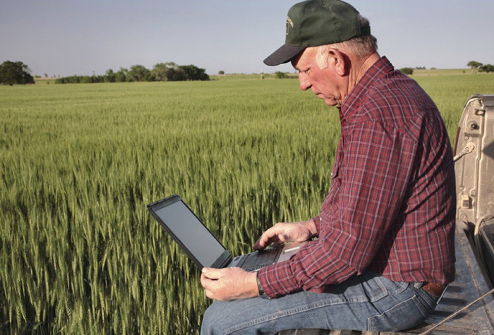 Leveraging digitalisation and servitisation to reduce post-harvest losses