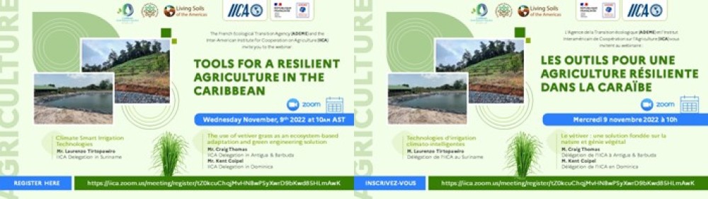 Tools for a Resilient Agriculture in the Caribbean