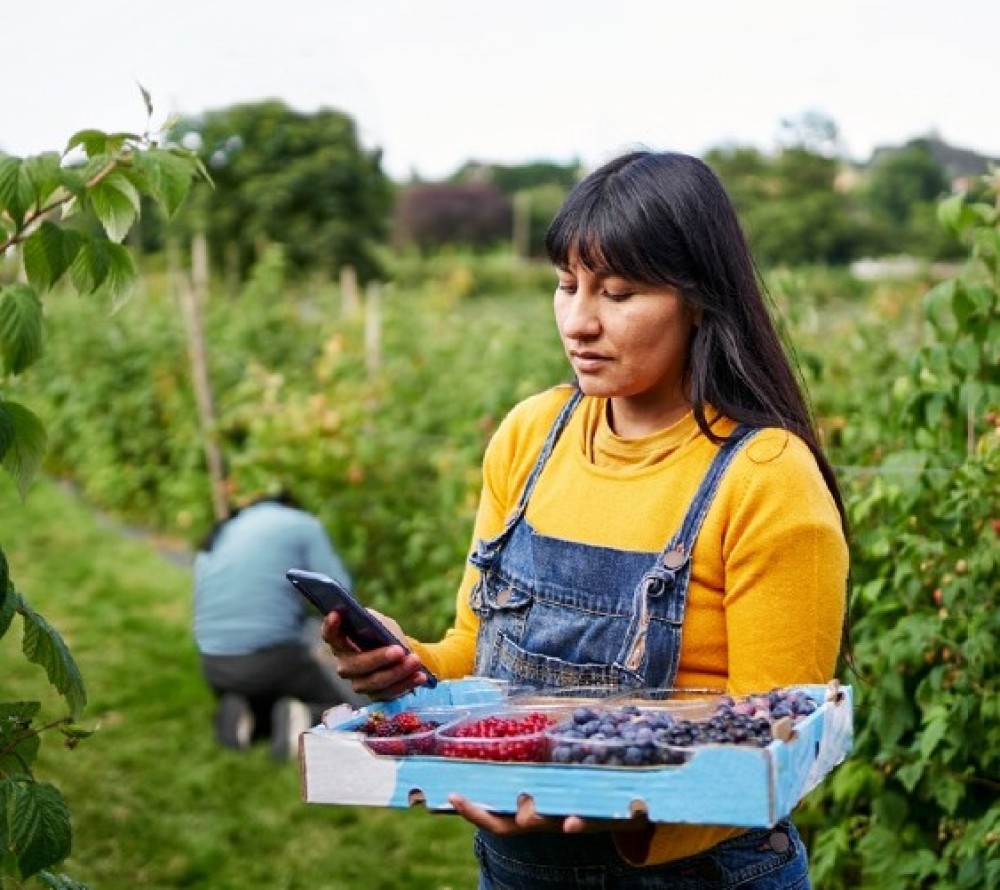 Launch: "Rural connectivity in Latin America and the Caribbean: a bridge to sustainable development in a time of pandemic"