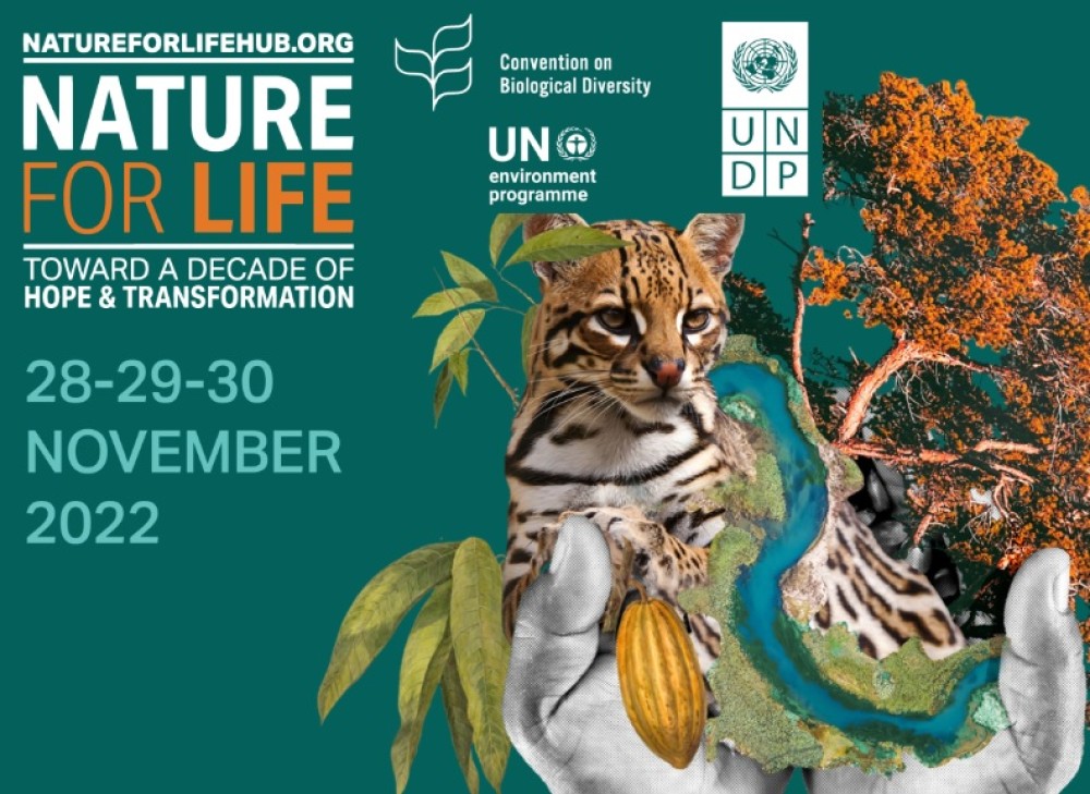 Nature for Life Hub
