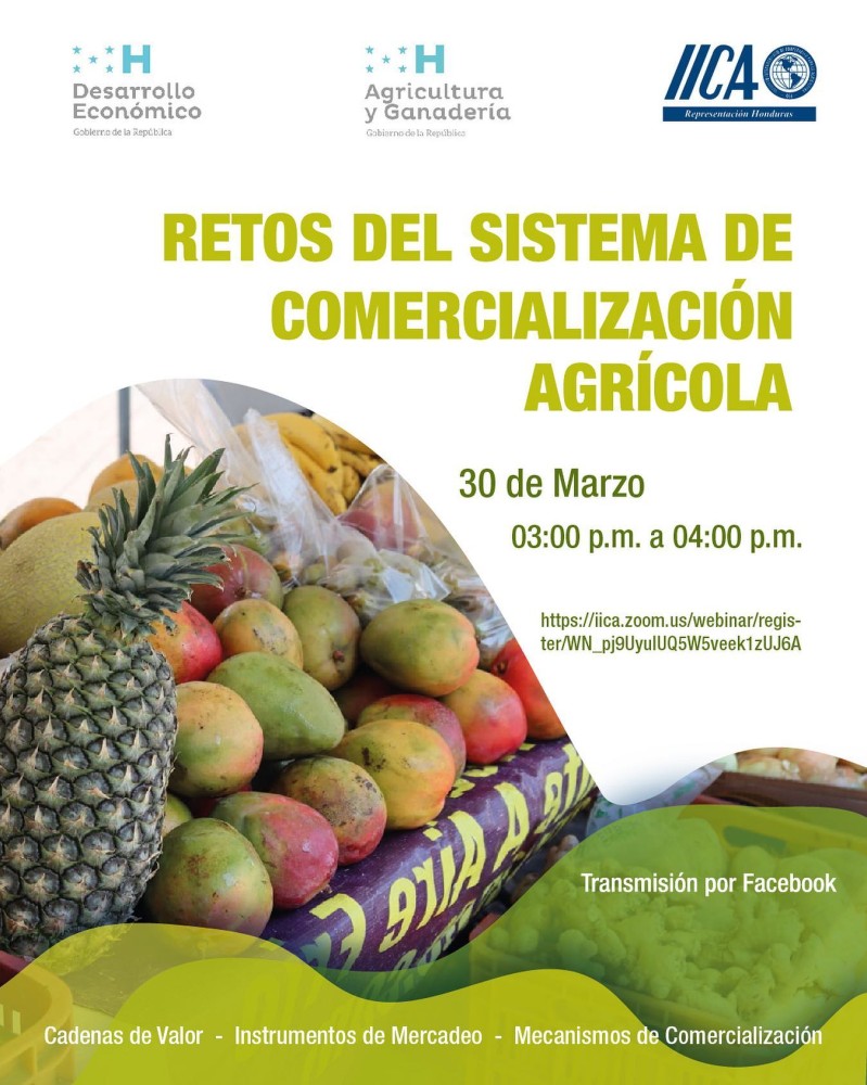 Webinar:  Retos del Sistema de Comercialización Agrícola