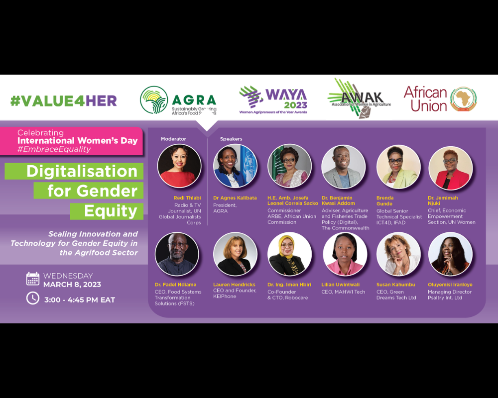 Seminario web: Digitalización para la equidad de género