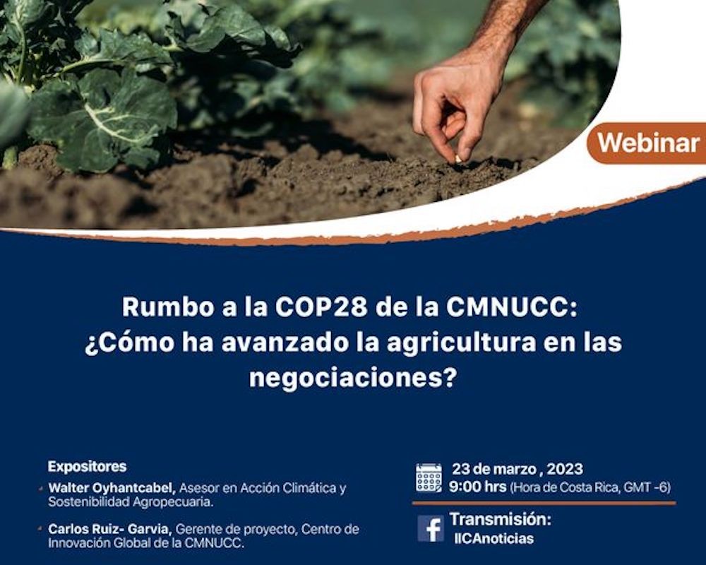 Rumbo a la COP28 de la CMNUCC: Cómo ha avanzado Agricultura en las negociaciones?