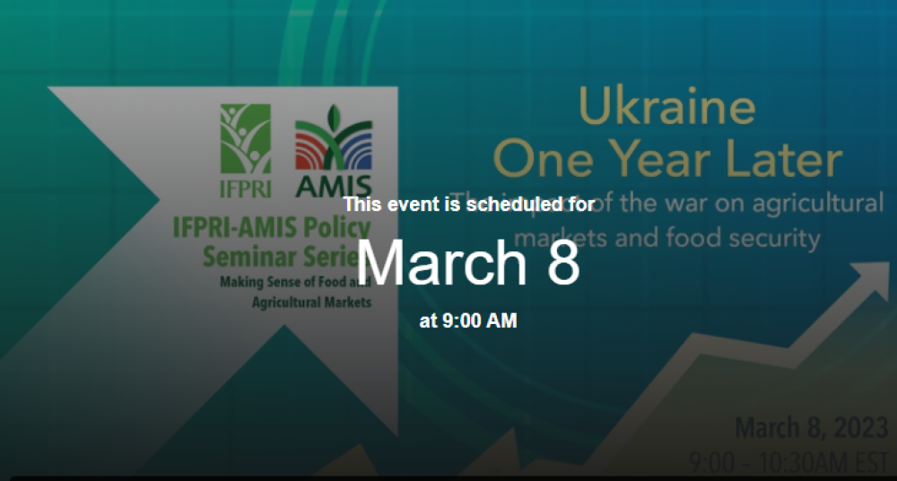 Ukraine One Year Later: the impact of the war on agricultural markets and food security