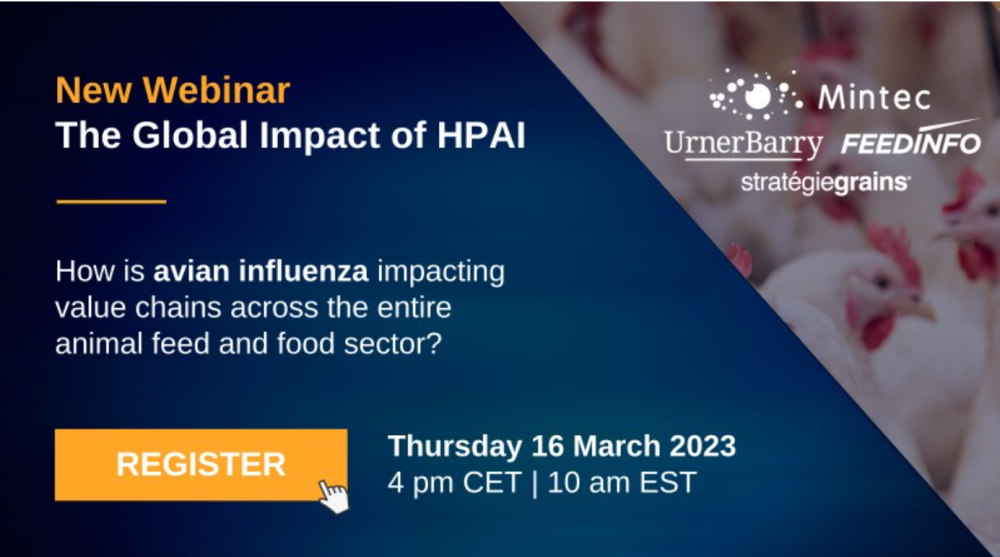 El impacto global de la Influenza Aviar Altamente Patógena (IAAP) (EN)