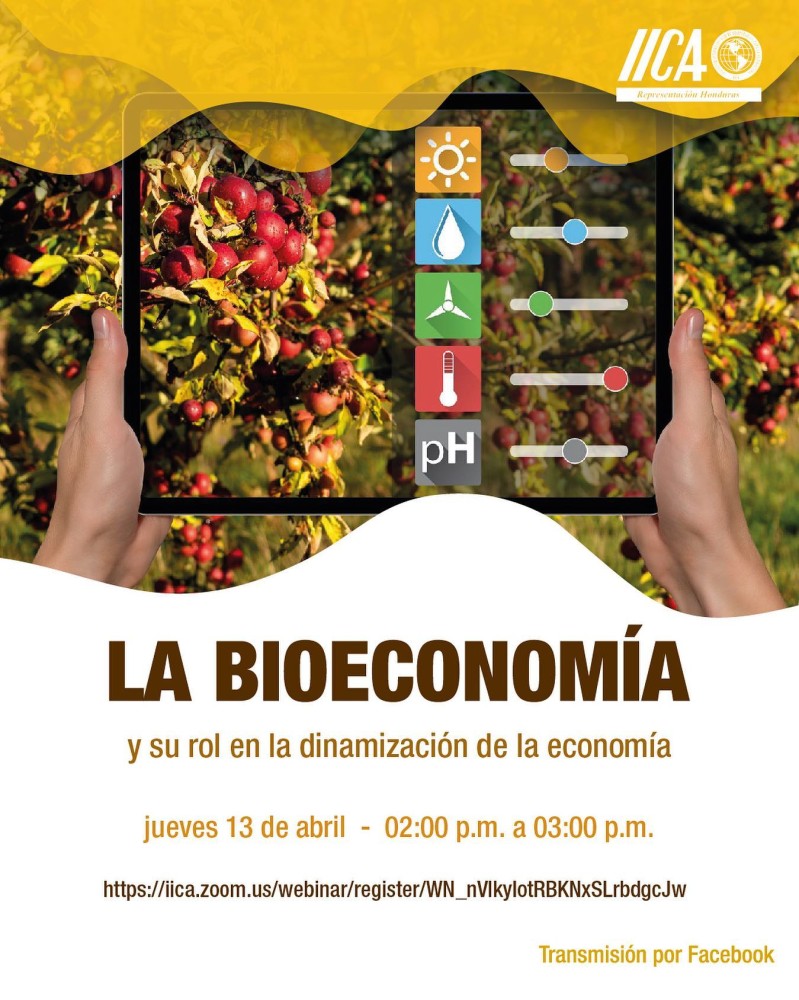 Webinar: La Bioeconomía y su rol en la dinamización de la economía