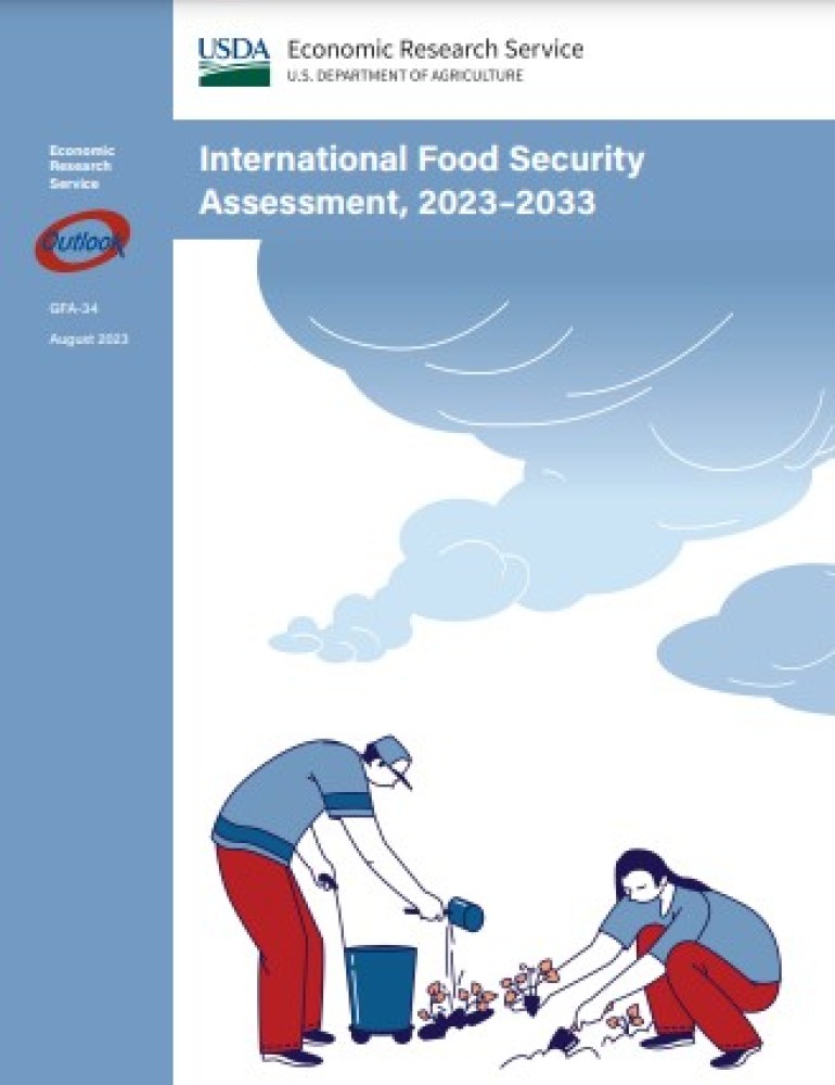 Webinar:  Evaluación internacional de la seguridad alimentaria, 2023-2033