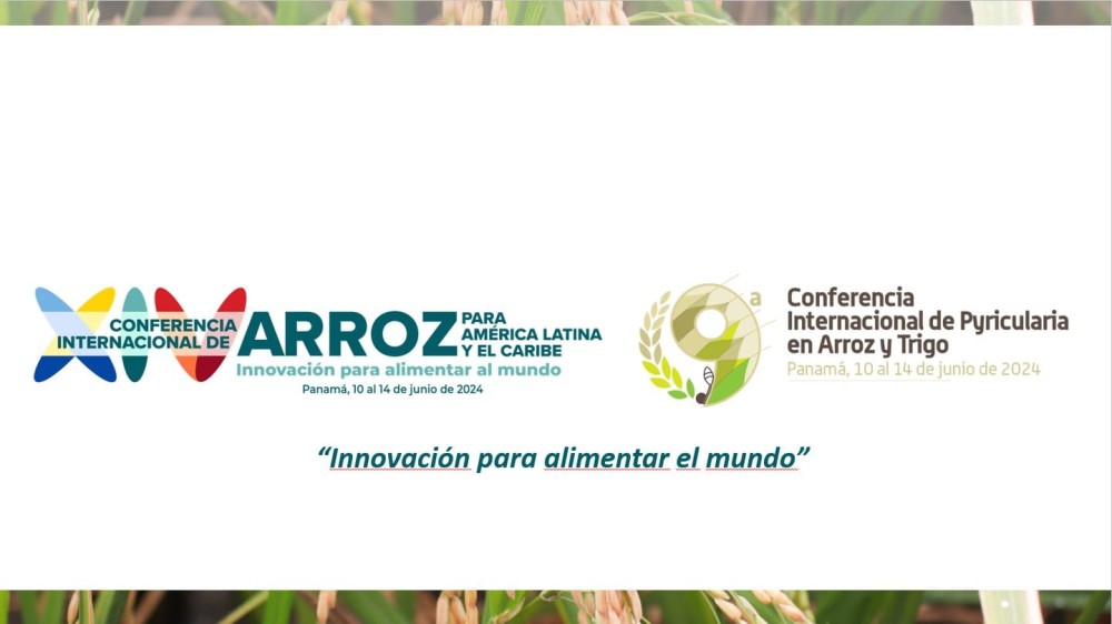 XIV International Rice Conference for Latin America and the Caribbean and the Ninth Rice and Wheat Pyrrhicularia Conference