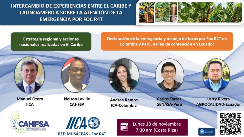 Intercambio de experiencia entre Latinoamérica y la Región Caribe