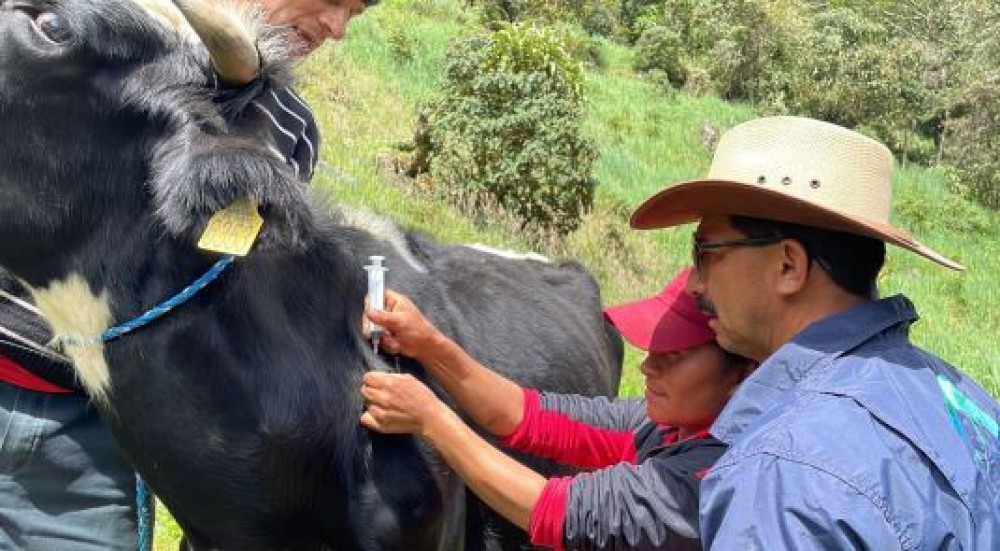 Ecuador - Taller sobre el manejo de productos veterinarios, tratamiento y desparasitación de ganado bovino