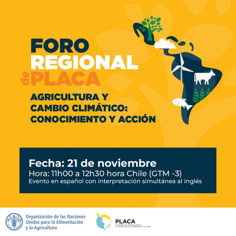 PLACA Regional Forum
