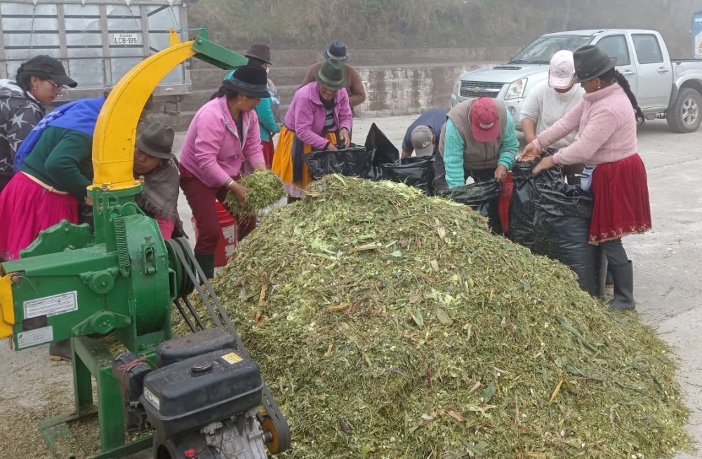 Ecuador - Capacitación teórica-práctica sobre conservación de pastos mediante la elaboración de silos tipo funda en Cañar