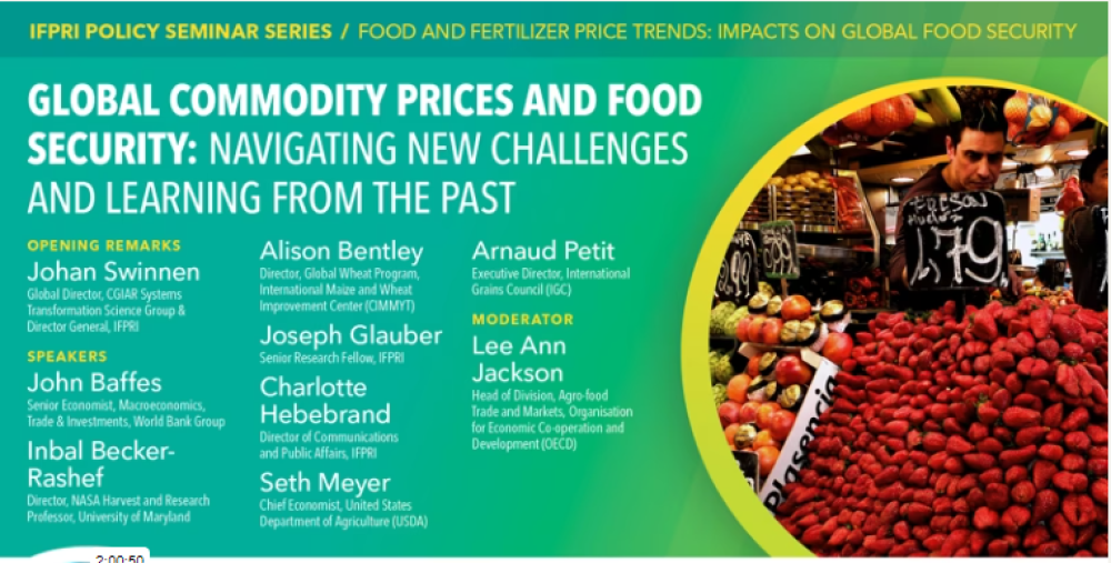 Global commodity prices and food security: Navigating new challenges and learning from the past | IFPRI : International Food Policy Research Institute