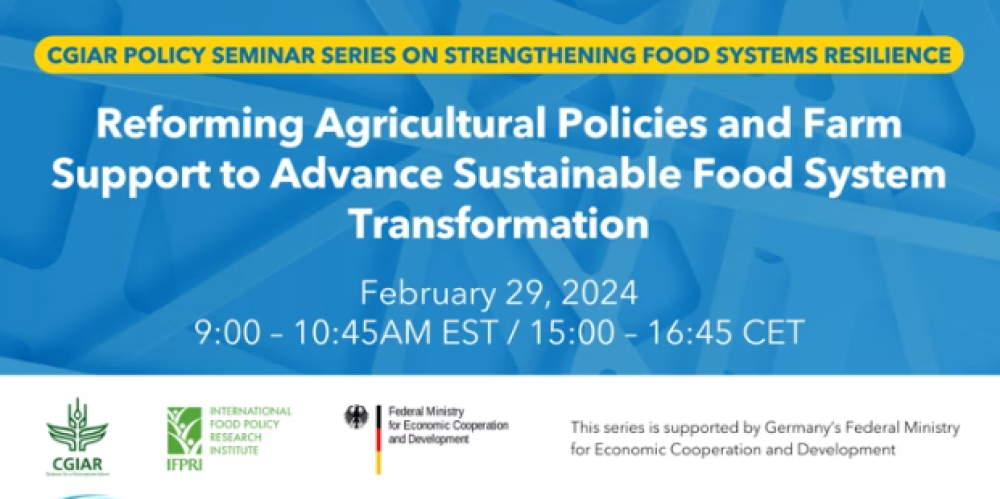 Reforming Agricultural Policies and Farm Support to Advance Sustainable Food System Transformation