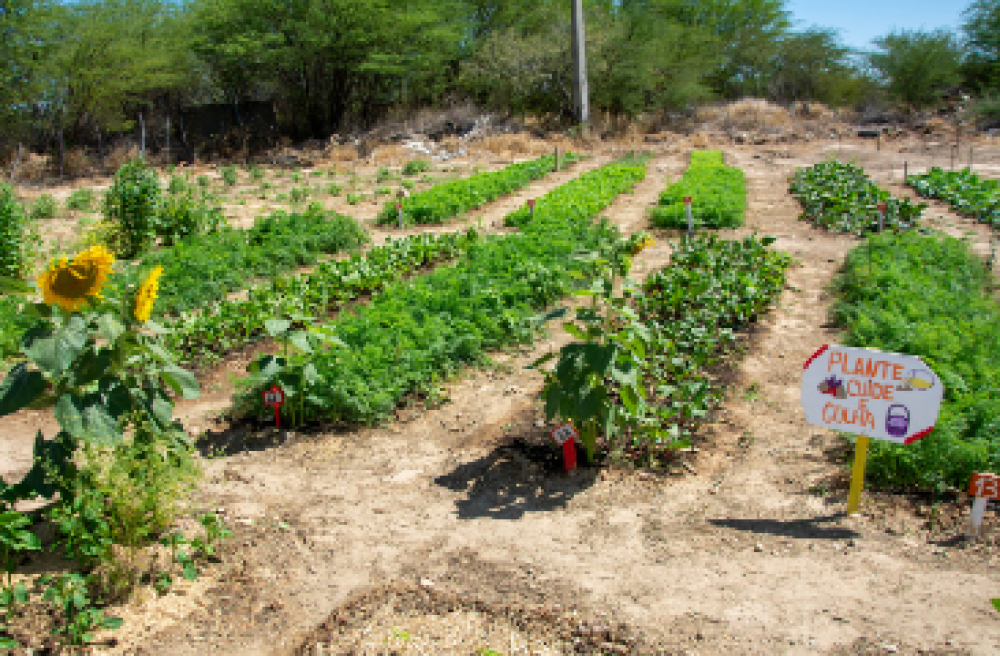 XXXIX Specialized Meeting of Mercosur Family Farming (REAF)