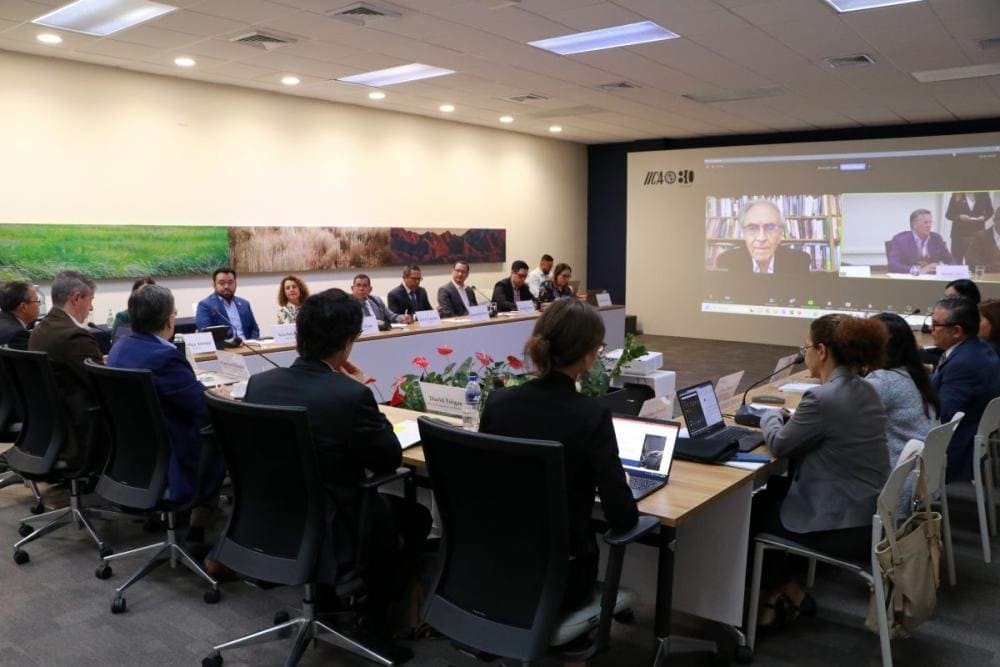 Workshop on Food Security and Agriculture: An Analysis of Food and Fertilizer Price Pass-through in Central America