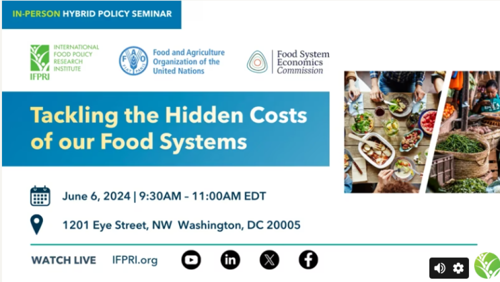 Addressing the hidden costs of our food systems
