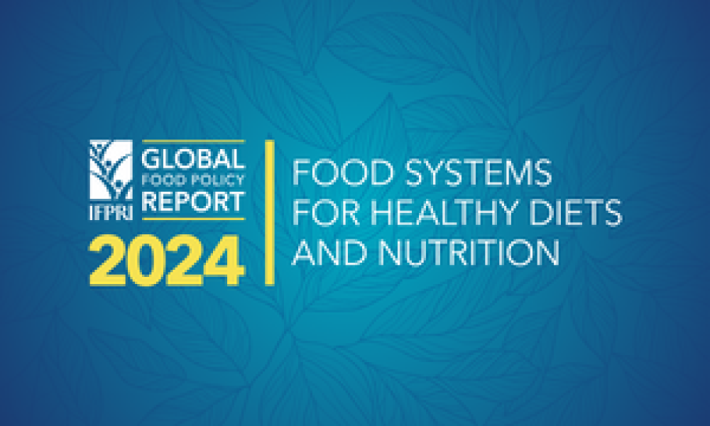 Informe sobre políticas alimentarias mundiales 2024: Mejorar las dietas y la nutrición a través de sistemas alimentarios: ¿qué se necesita?