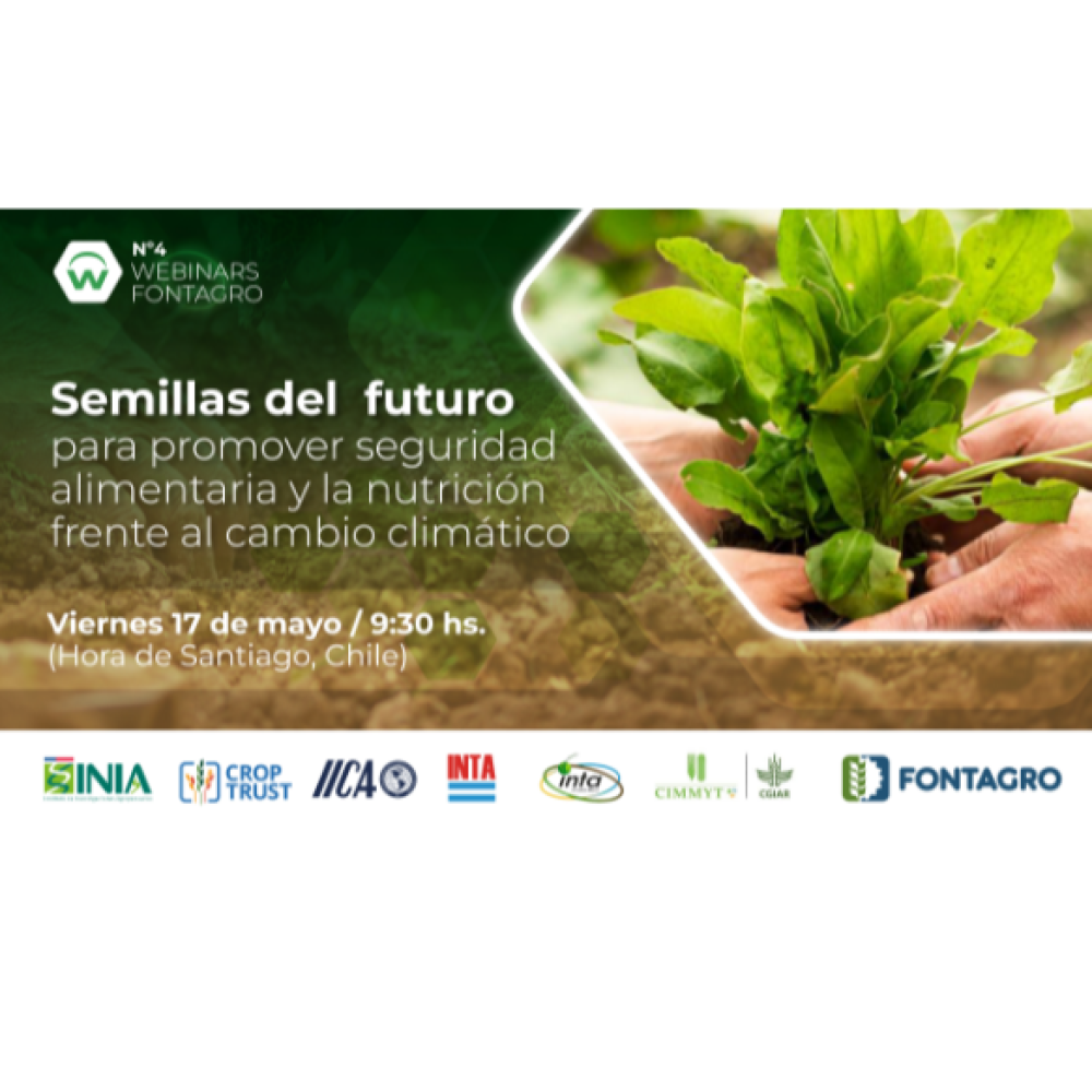 Webinar: Semillas del futuro para promover la seguridad alimentaria