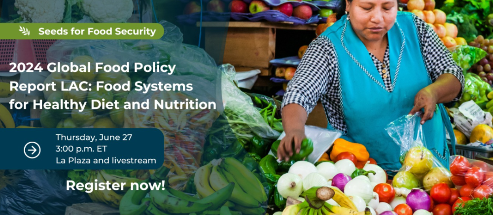 Launch of the Global Food Policy Report 2024 in Latin America and the Caribbean