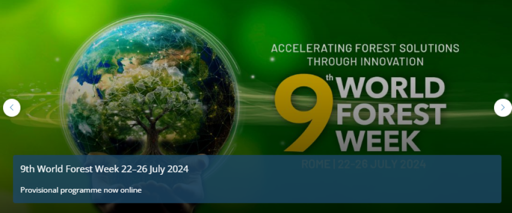 9ª Semana Forestal Mundial (WFW 2024) bajo el tema “Acelerar las soluciones forestales a través de la innovación”.