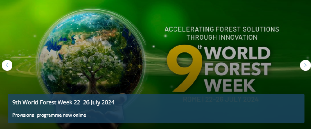 9th World Forestry Week (WFW 2024) under the theme “Accelerating forestry solutions through innovation”.