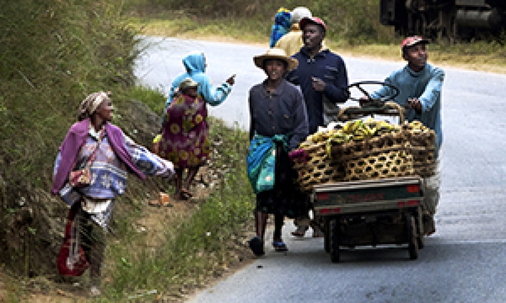 Tracking Global and National Agricultural Transformation