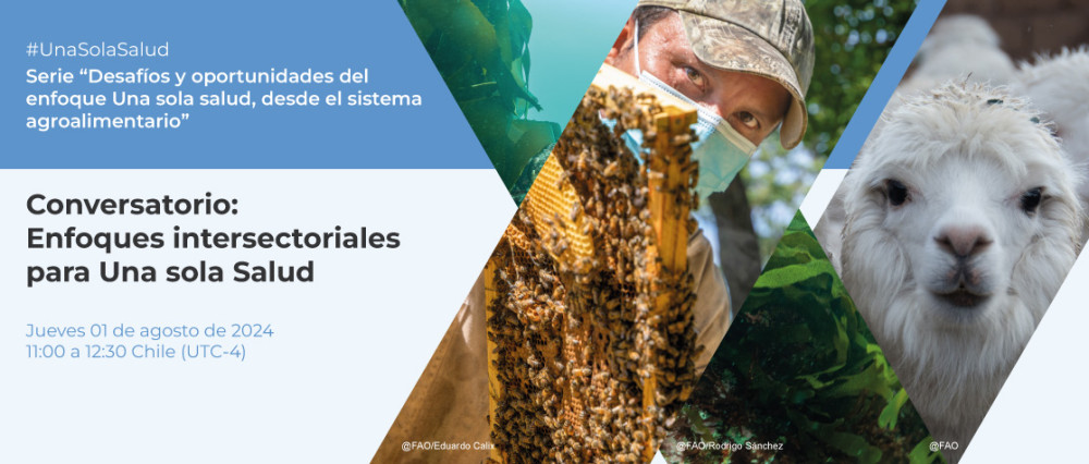 Webinar Enfoques intersectoriales para Una sola Salud