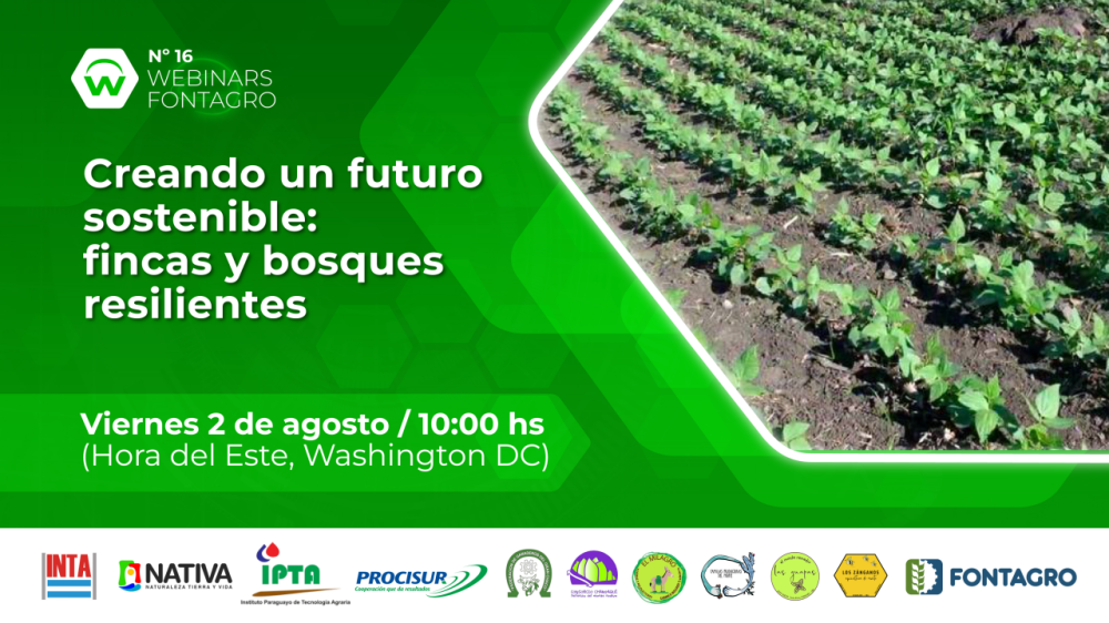 Creando un futuro sostenible: fincas y bosques resilientes