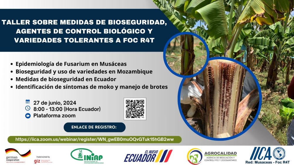 Workshop on Biosafety Measures, Biological Control Agents and Foc TR4 Tolerant Varieties [ES]