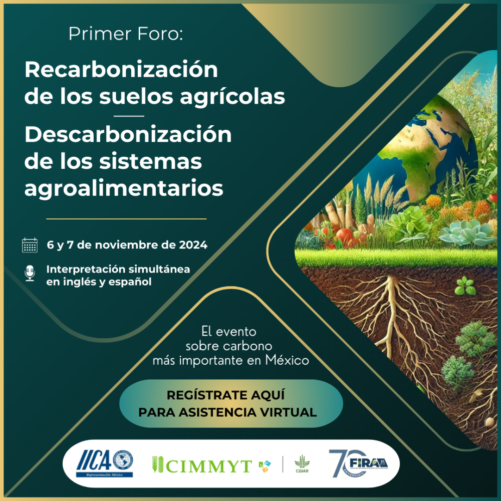 First Forum: Recarbonization of agricultural soils and decarbonization of agri-food systems