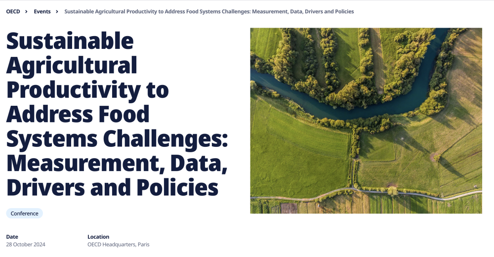 Sustainable Agricultural Productivity to Address Food Systems Challenges: Measurement, Data, Drivers and Policies