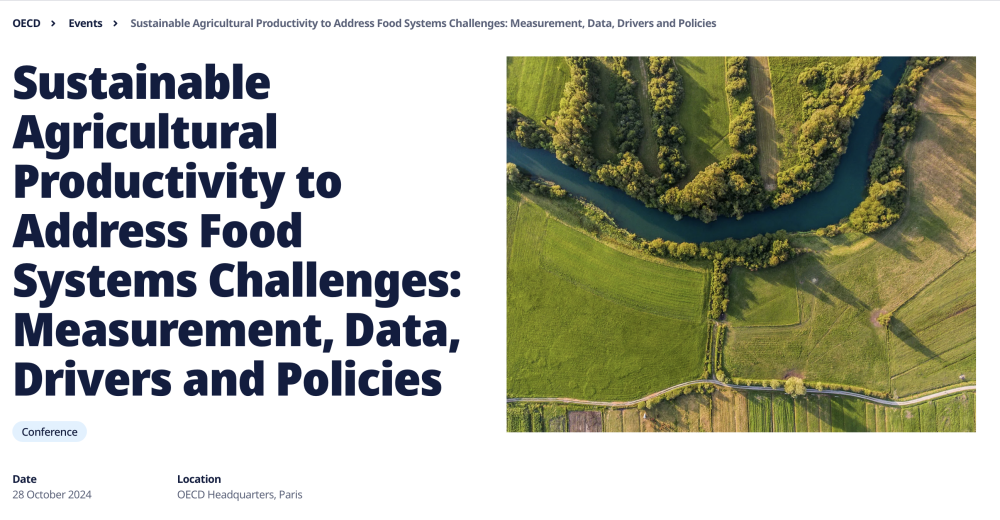 (EN) Productividad Agrícola Sostenible para Abordar los Desafíos de los Sistemas Alimentarios: Medición, Datos, Impulsores y Políticas