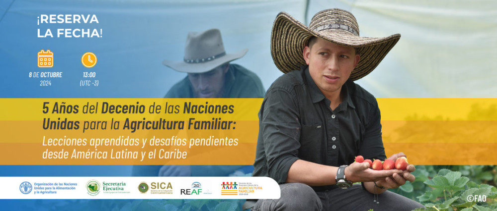 5 years of the United Nations Decade for Family Farming : Lessons learned and pending challenges from Latin America and the Caribbean