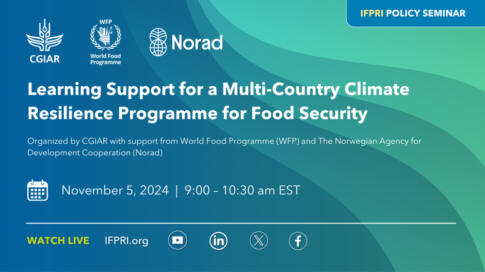 Learning Support for a Multi-Country Climate Resilience Programme for Food Security