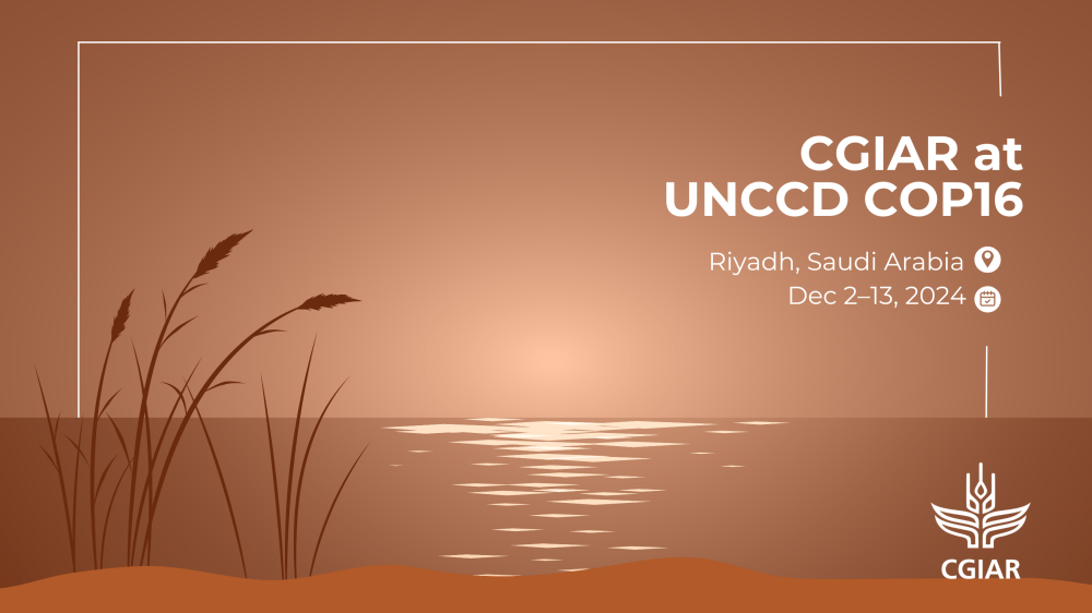 CGIAR at UNCCD COP16