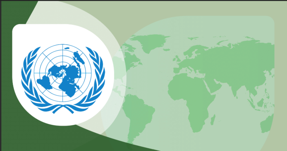 Due diligence for sustainable trade between Latin America and the European Union