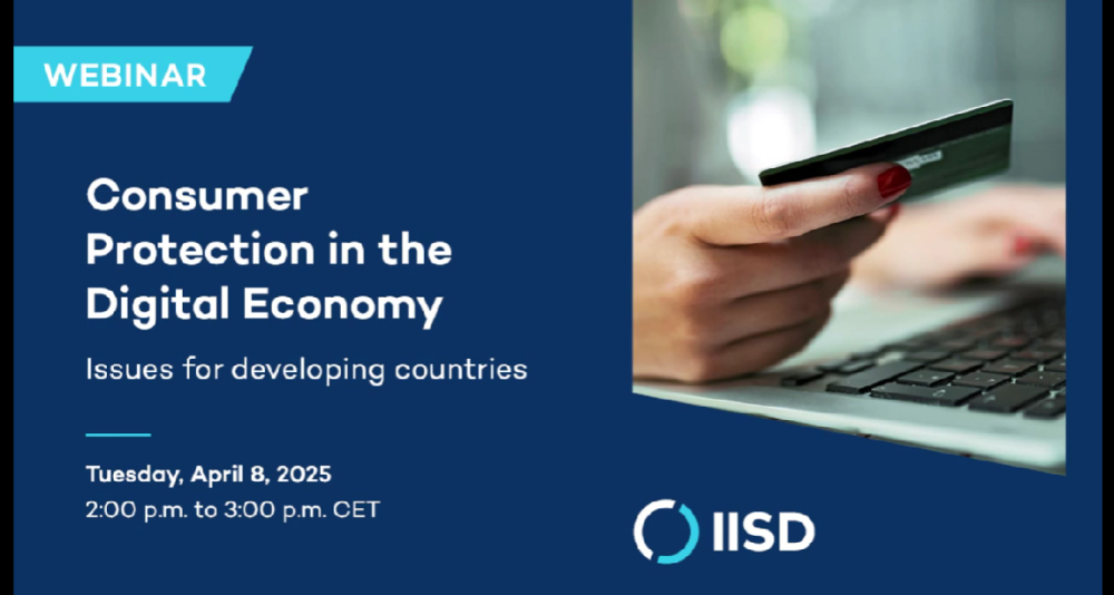 Consumer Protection in the Digital Economy: Issues for developing countries