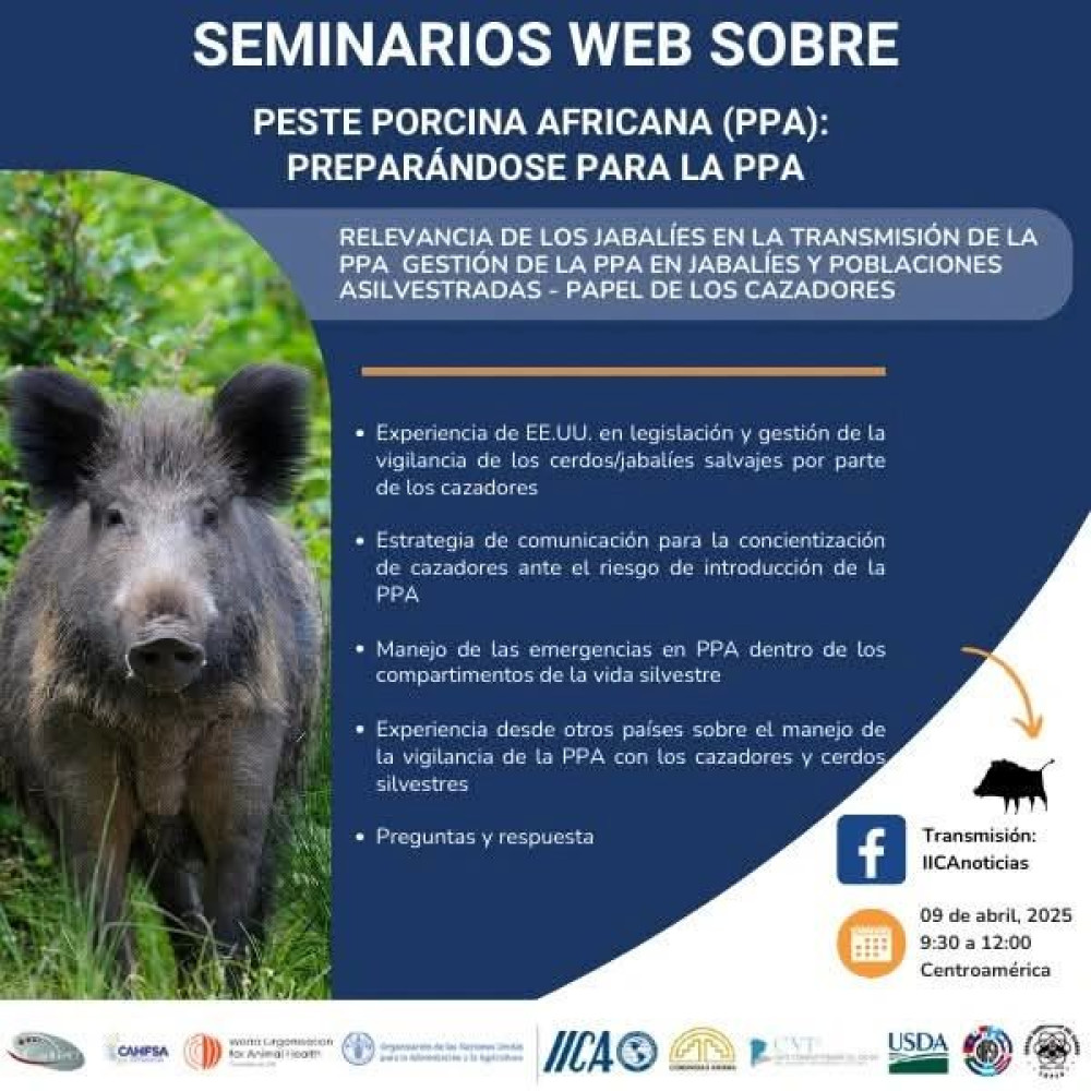 Webinar Peste Porcina Africana: Preparándose para la PPA